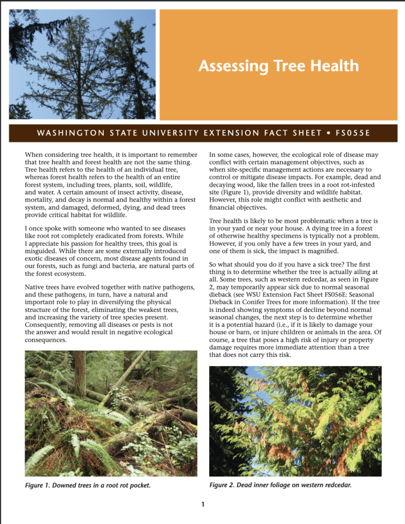 WSU Fact Sheet Cover - Assesing Tree Healht